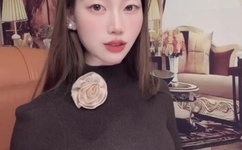 新岳乱合集目录伦200